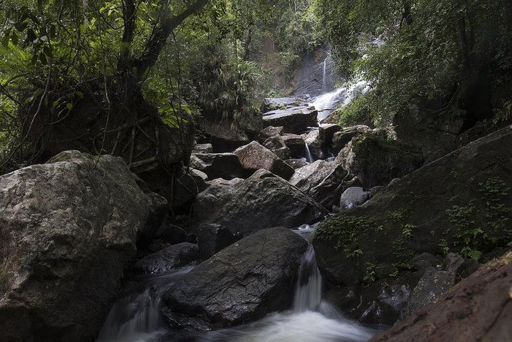 'Explore Sinharaja' rainforest - Discovery Tour (half day) - Photo 1 of 25